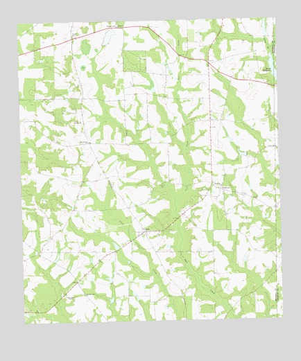 Cotton, GA USGS Topographic Map