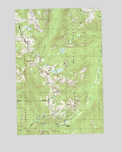 Cougar Lake, WA USGS Topographic Map