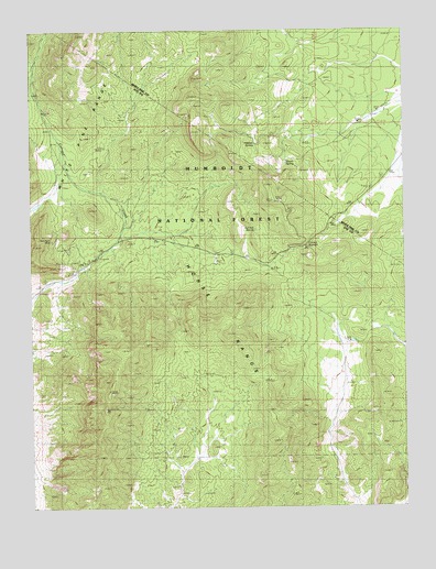 Currant Summit, NV USGS Topographic Map