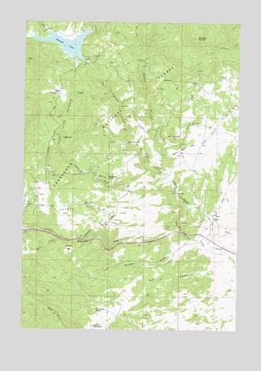 Delmoe Lake, MT USGS Topographic Map