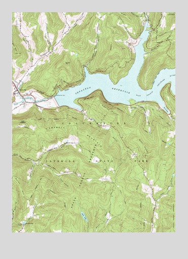 Downsville, NY USGS Topographic Map