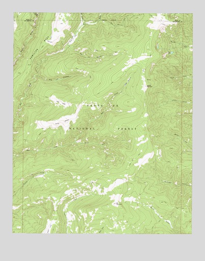 Elk Mountain, NM USGS Topographic Map