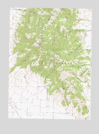 Elkhorn Peak, ID USGS Topographic Map