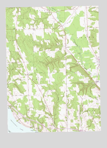 Ellery Center, NY USGS Topographic Map