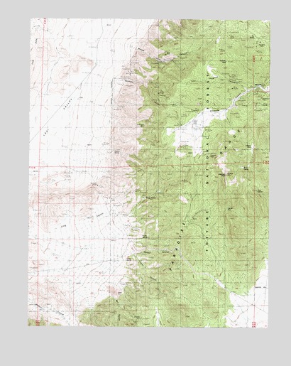 Ellsworth, NV USGS Topographic Map
