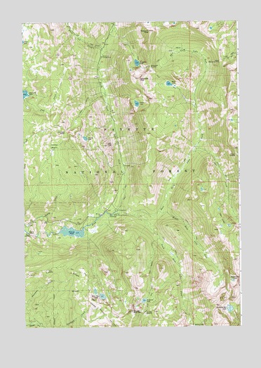 Fitsum Summit, ID USGS Topographic Map