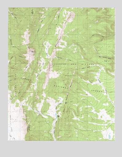 Ash Mountain, NM USGS Topographic Map