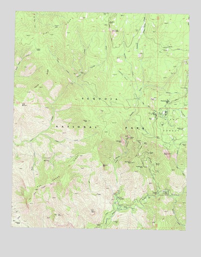 Giant Forest, CA USGS Topographic Map