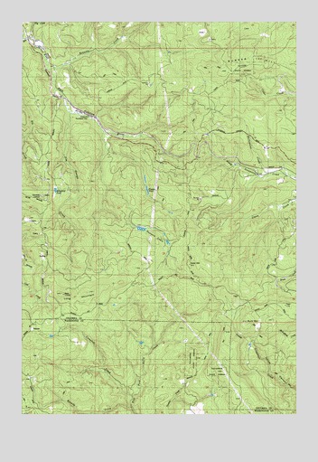 Bacona, OR USGS Topographic Map