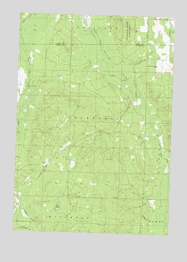 Hubbard Lake SW, MI USGS Topographic Map