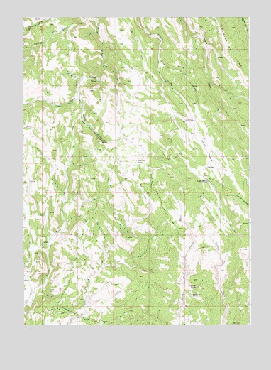 Indian Meadows, ID USGS Topographic Map