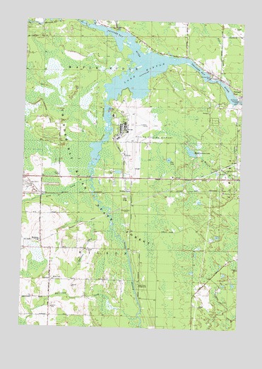 Lake Winyah, MI USGS Topographic Map