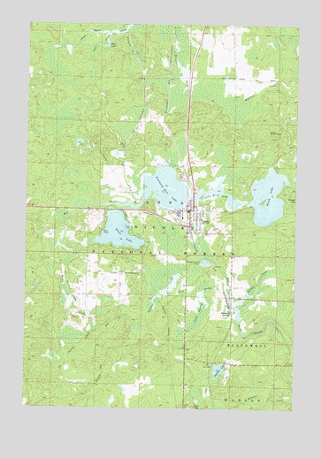 Laona, WI USGS Topographic Map