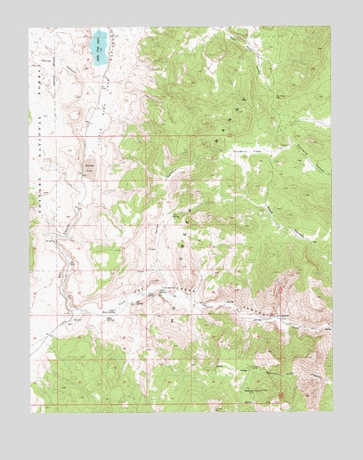 Little Fish Lake, NV USGS Topographic Map
