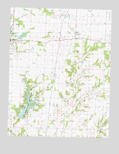 Beaucoup, IL USGS Topographic Map
