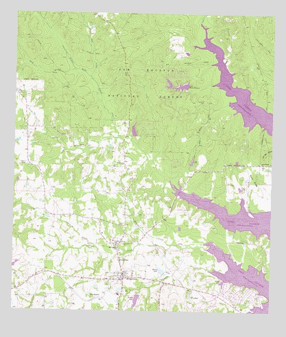 Montgomery, TX USGS Topographic Map