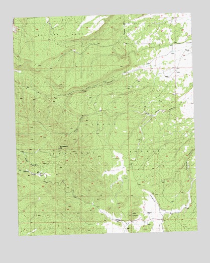 Mount Sedgwick, NM USGS Topographic Map
