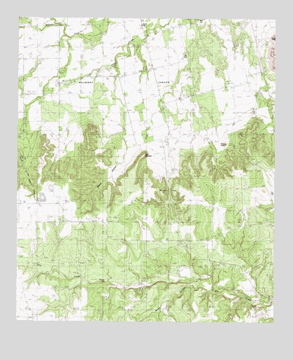 Mountain Pass, TX USGS Topographic Map