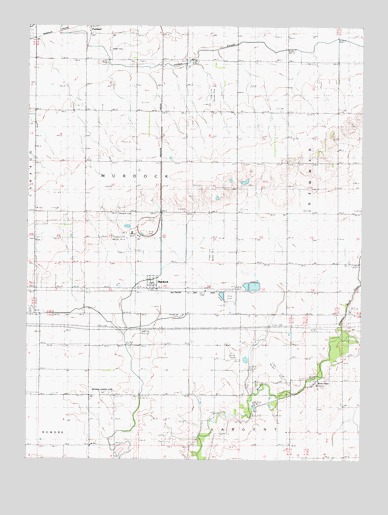 Murdock, IL USGS Topographic Map