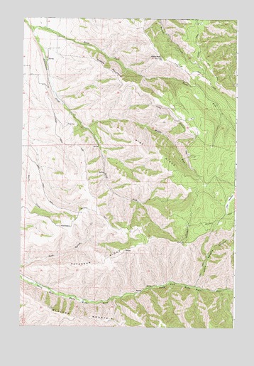 Peterson Ridge, OR USGS Topographic Map