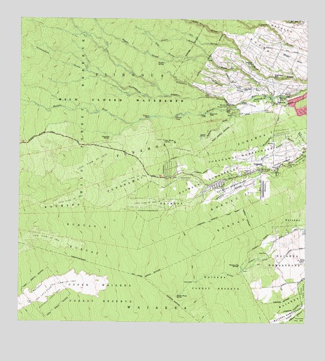 Piihonua, HI USGS Topographic Map