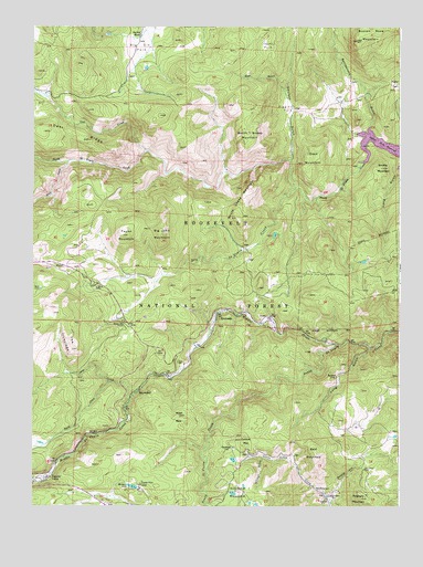 Raymond, CO USGS Topographic Map