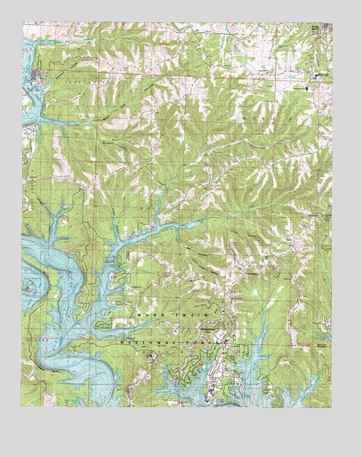 Reeds Spring, MO USGS Topographic Map