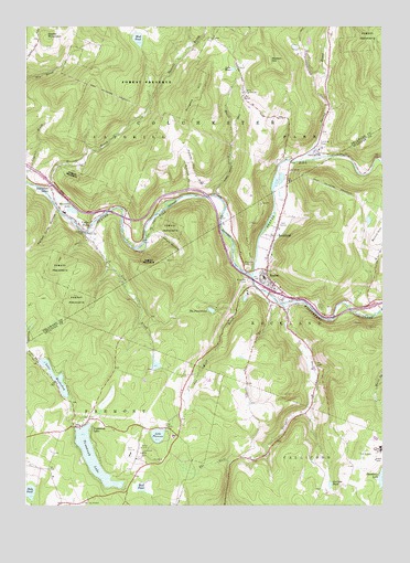 Roscoe, NY USGS Topographic Map
