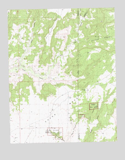Ruin Point, UT USGS Topographic Map