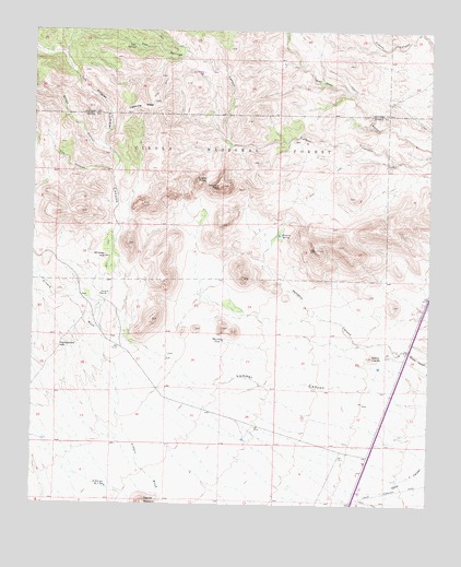 Sierra Fijardo, NM USGS Topographic Map