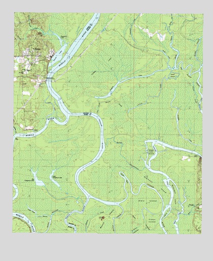 Stiggins Lake, AL USGS Topographic Map