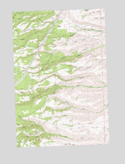 Stray Gulch, WA USGS Topographic Map