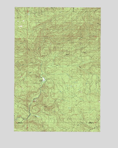 Blaney Creek, WA USGS Topographic Map