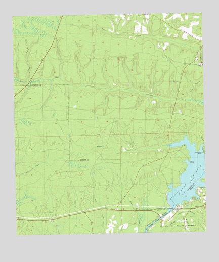 Bloxham, FL USGS Topographic Map