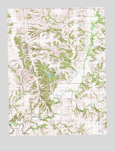 Tioga, IL USGS Topographic Map