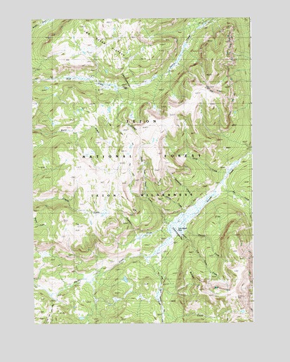 Two Ocean Pass, WY USGS Topographic Map