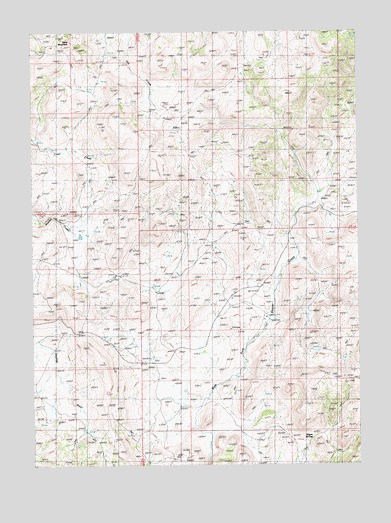 Wagon Springs, NV USGS Topographic Map