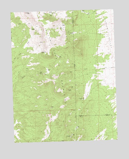 White Rock Peak, NV USGS Topographic Map