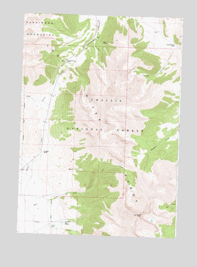 Borah Peak, ID USGS Topographic Map