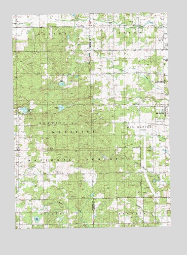Woodville NE, MI USGS Topographic Map