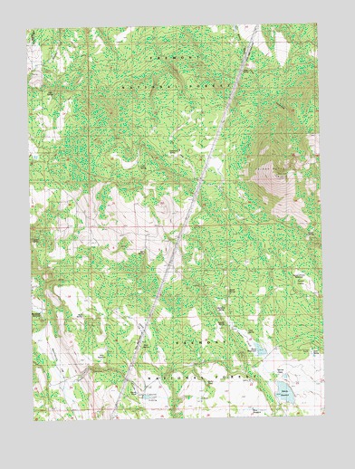 Yainax Butte, OR USGS Topographic Map