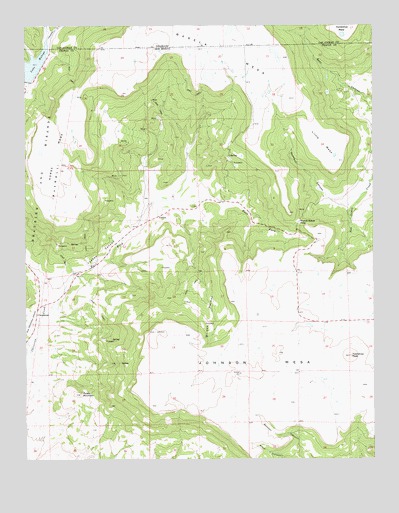 Yankee, NM USGS Topographic Map