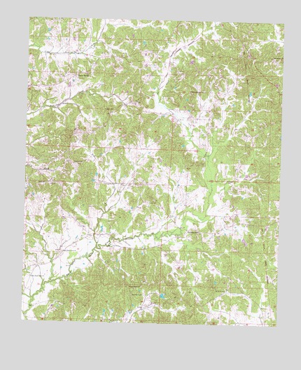 Bowling Green, MS USGS Topographic Map