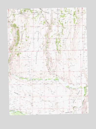 Buckhorn Ridge, NV USGS Topographic Map