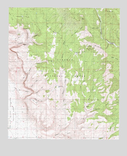 Bug Scuffle Canyon, NM USGS Topographic Map