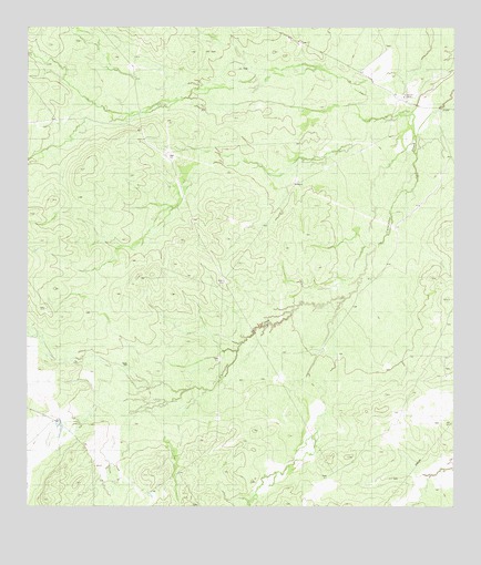 Callaghan Ranch SE, TX USGS Topographic Map