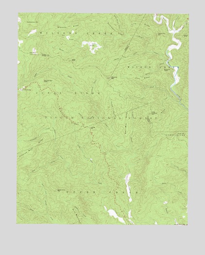 Chestnut Mountain, NC USGS Topographic Map