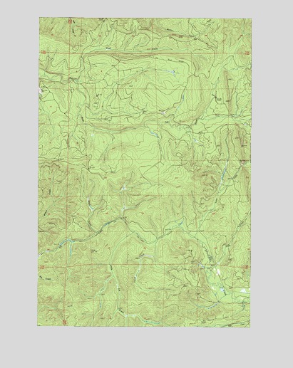Dean Creek, WA USGS Topographic Map