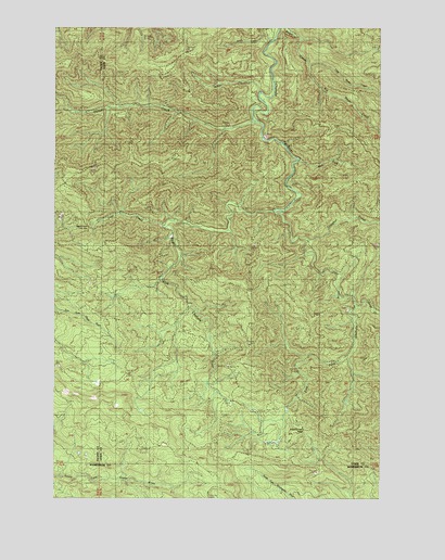 Elochoman Pass, WA USGS Topographic Map