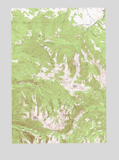 Livingston Peak, MT USGS Topographic Map